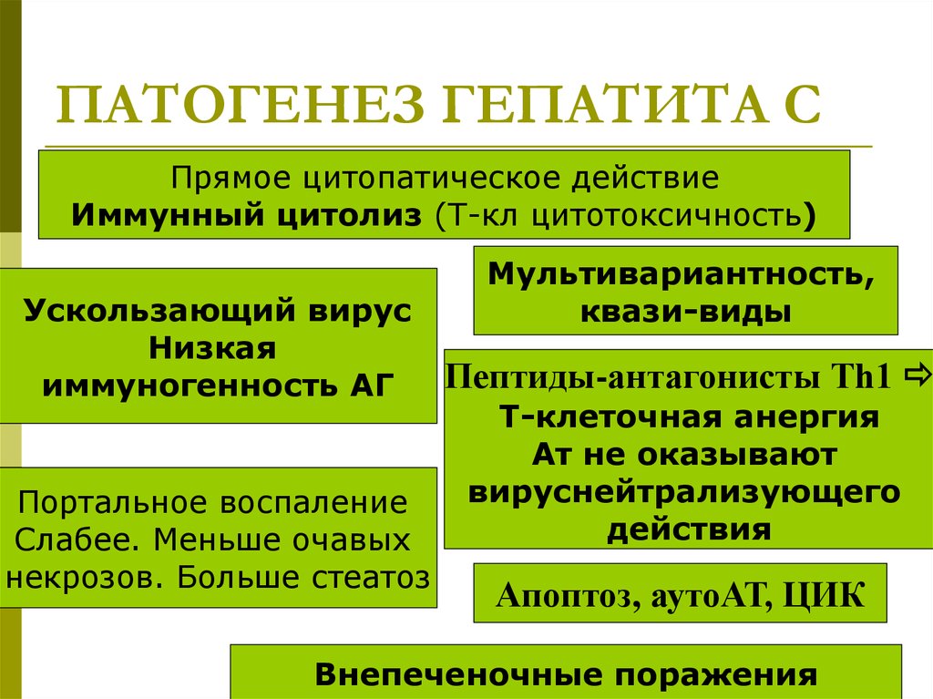 Как подобрать эффективный курс лечения гепатита С