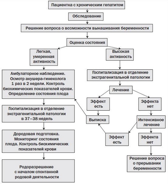 Можно ли иметь детей, если у мужчины или женщины гепатит С