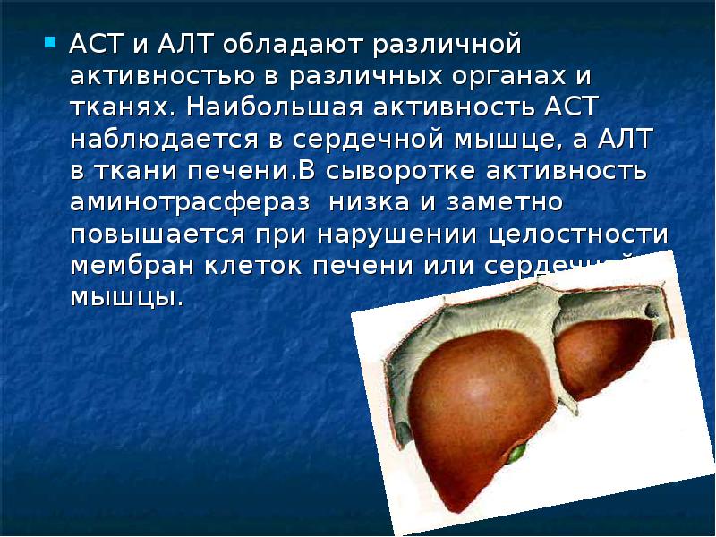 Биохимический анализ крови норма АЛТ и АСТ