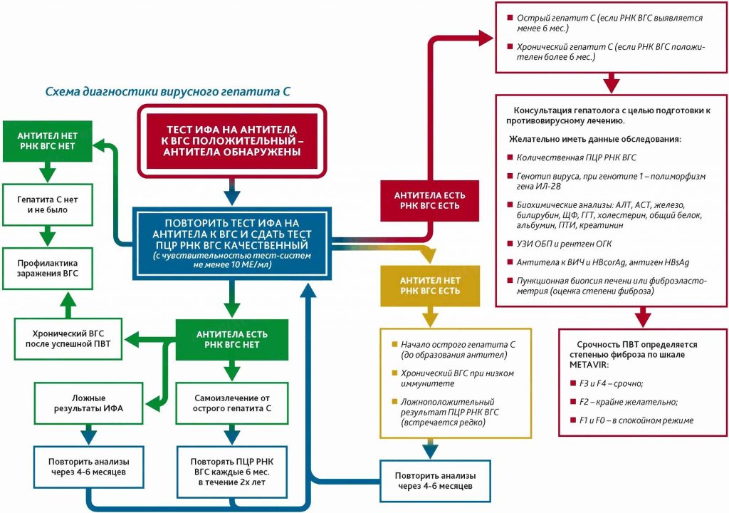 Рекомендации: лечение гепатита С
