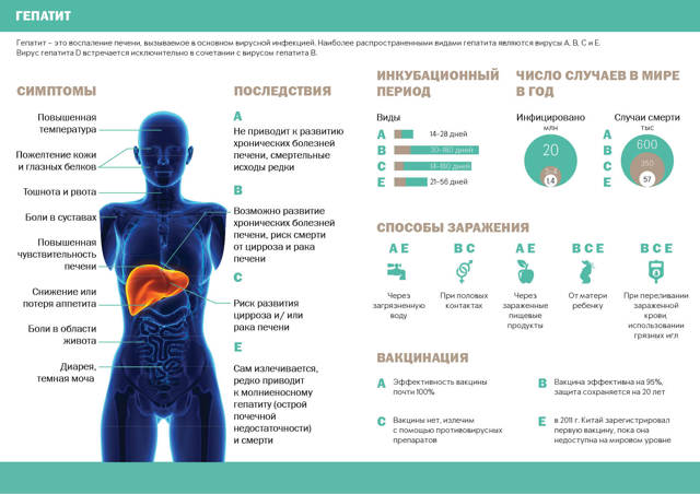 Первые признаки проявления острого гепатита С и хронического воспаления