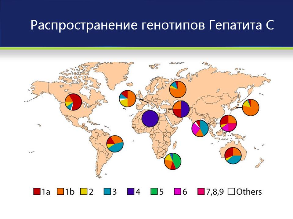 Сложности выявления заболевания вируса гепатита С