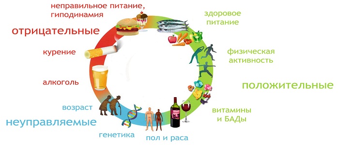 Жизнь с гепатитом С. Продолжительность и образ жизни при вирусном гепатите