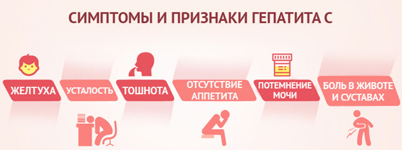 Жизнь с гепатитом С. Продолжительность и образ жизни при вирусном гепатите