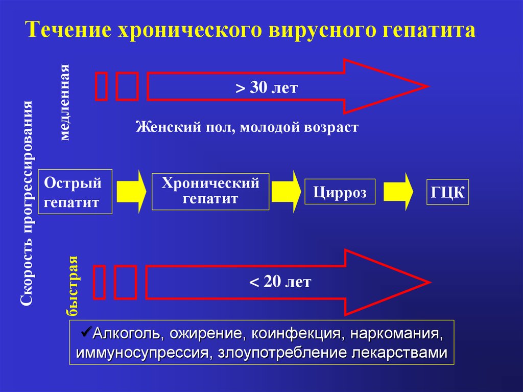 Проявление и развитие фазы острого и хронического гепатита С